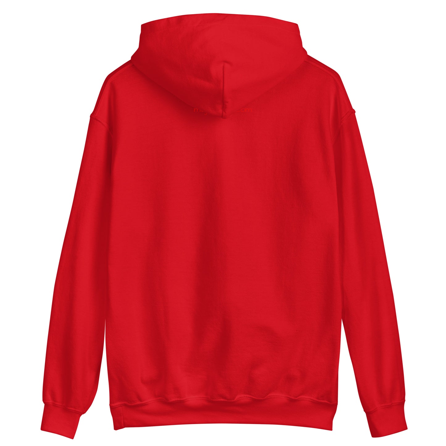 CP11 ACM Unisex Hoodie